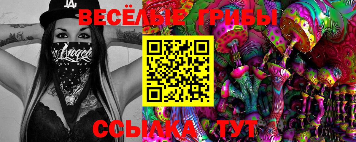 Псилоцибиновые грибы мухоморы  Вход с VPN  Советская Гавань 