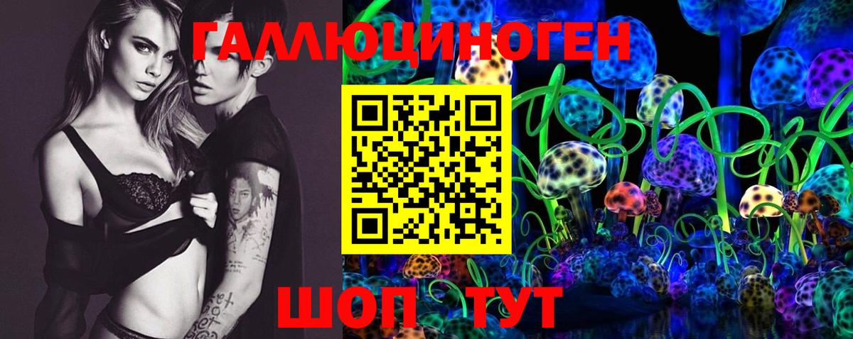 Галлюциногенные грибы GOLDEN TEACHER Советская Гавань